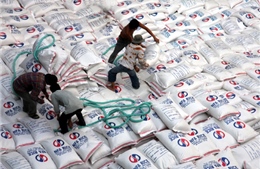 Indonesia sẽ nhập 200.000 tấn gạo của Việt Nam